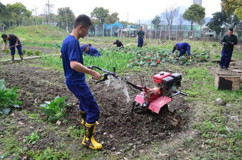 石家庄网站建设电话